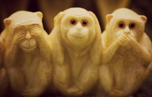 monkeys hsp