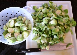 sprouts